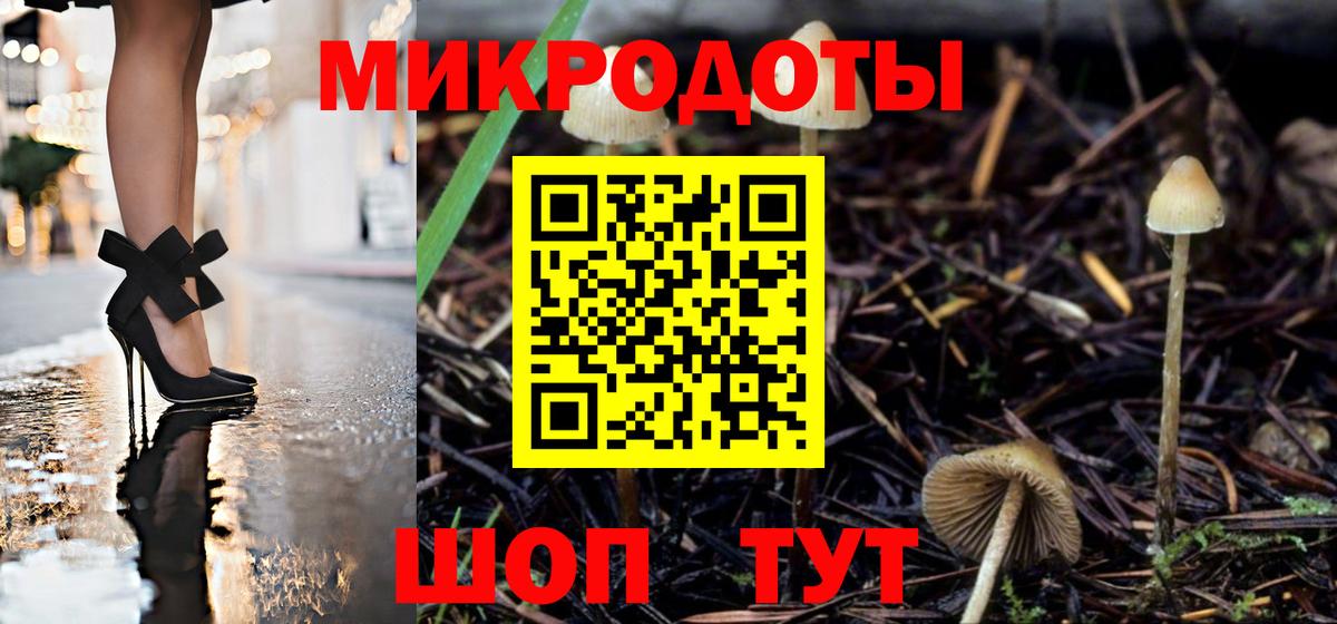 Псилоцибиновые грибы Cubensis Глазов
